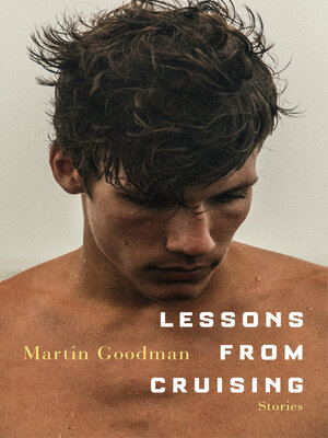 cover image of Lessons from Cruising